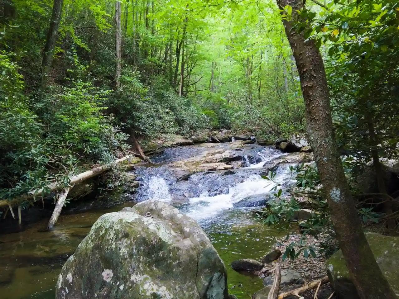 Ecological Preservation