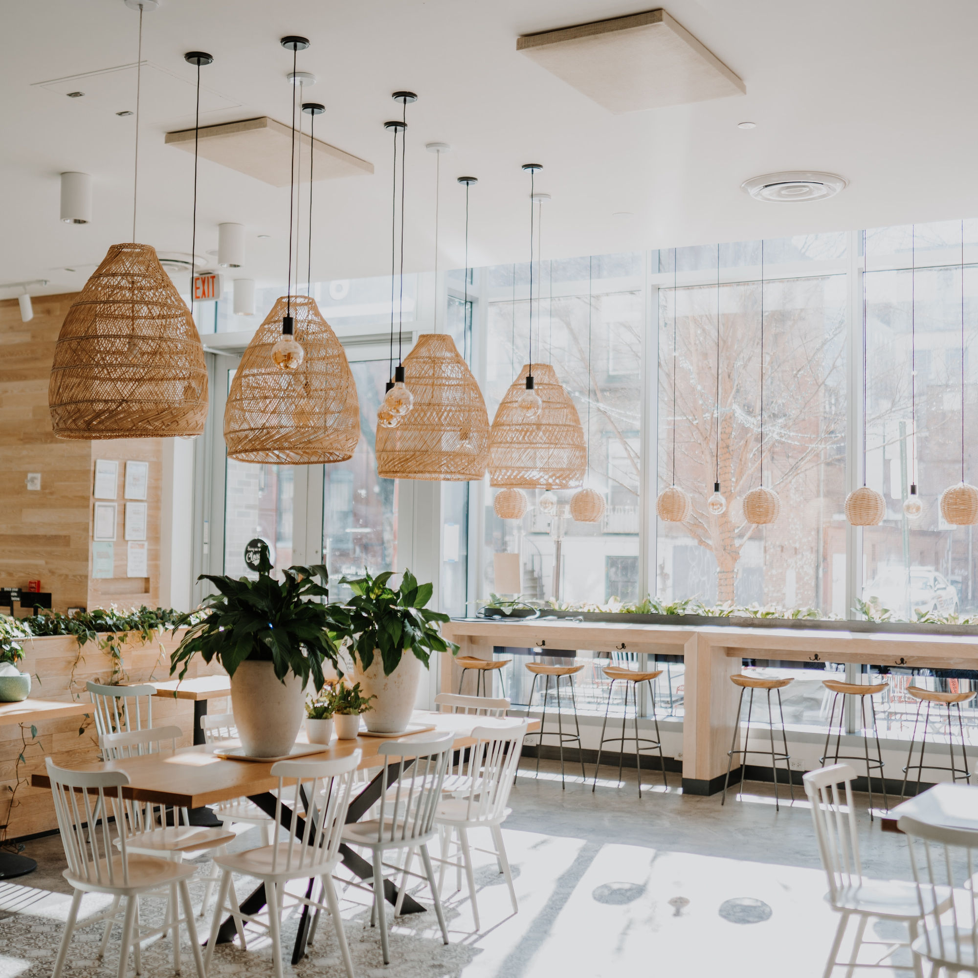 Organic Restaurants & Cafes